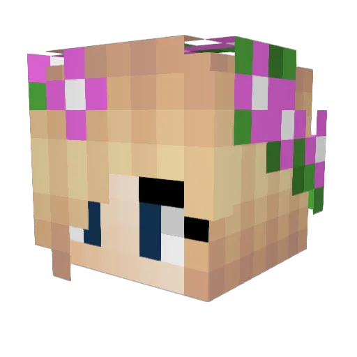 doggie17 Minecraft avatar head, 3D render