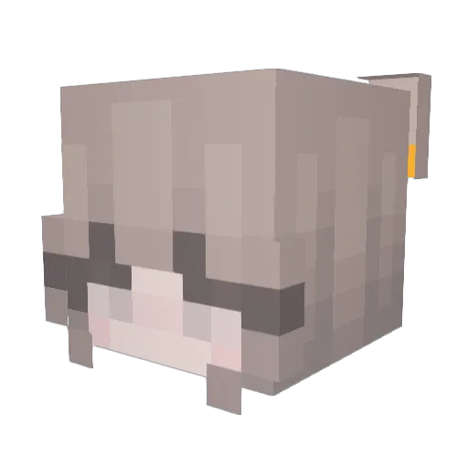 doggnamehere Minecraft avatar head, 3D render