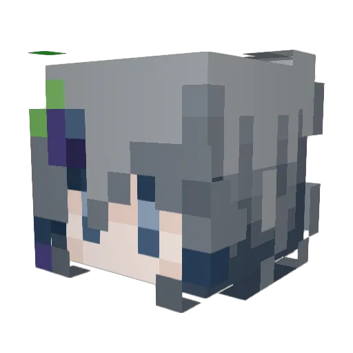 doggo8645 Minecraft avatar head, 3D render