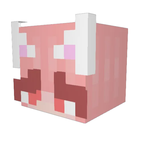 doggolover131 Minecraft avatar head, 3D render