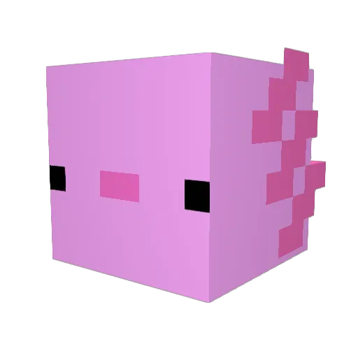 doggy6744 Minecraft avatar head, 3D render