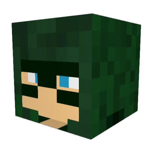 doggymaster3 Minecraft avatar head, 3D render