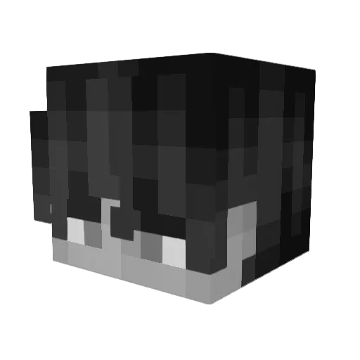 dogil_ Minecraft avatar head, 3D render