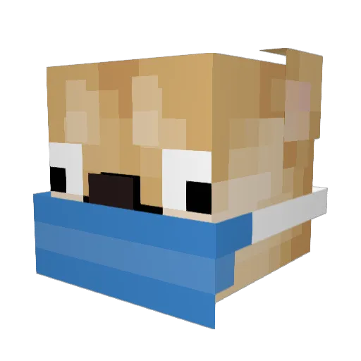 dogispog2000 Minecraft avatar head, 3D render
