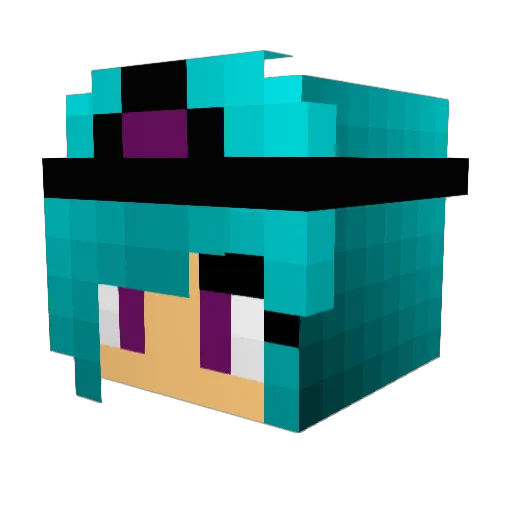 doglover264 Minecraft avatar head, 3D render