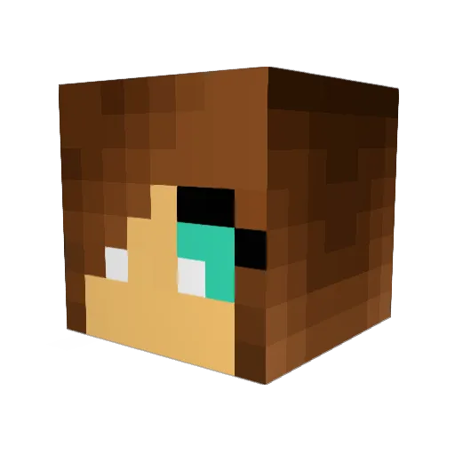 doglover318 Minecraft avatar head, 3D render