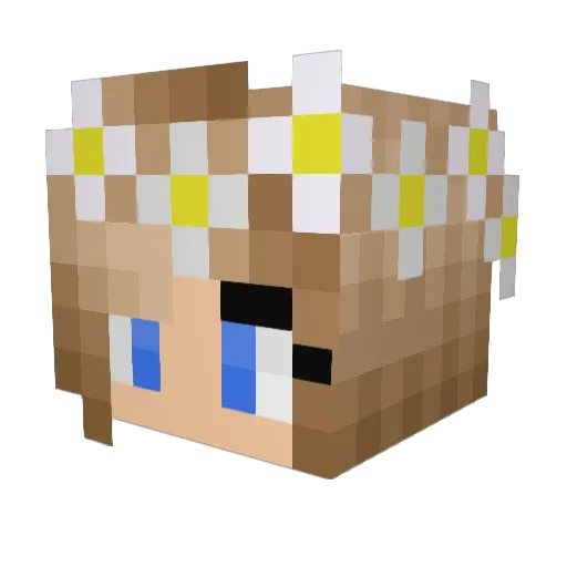 doglover517 Minecraft avatar head, 3D render