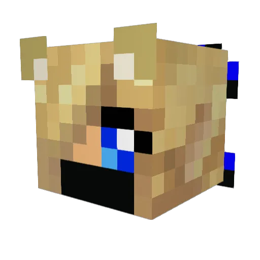 doglover748 Minecraft avatar head, 3D render