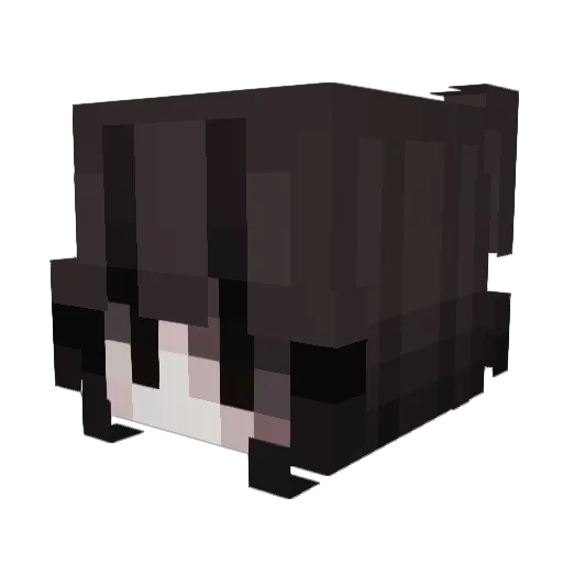 dogman1145 Minecraft avatar head, 3D render