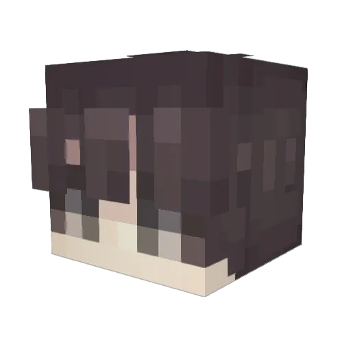 dogmanjuniors Minecraft avatar head, 3D render