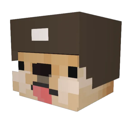 dogmason Minecraft avatar head, 3D render