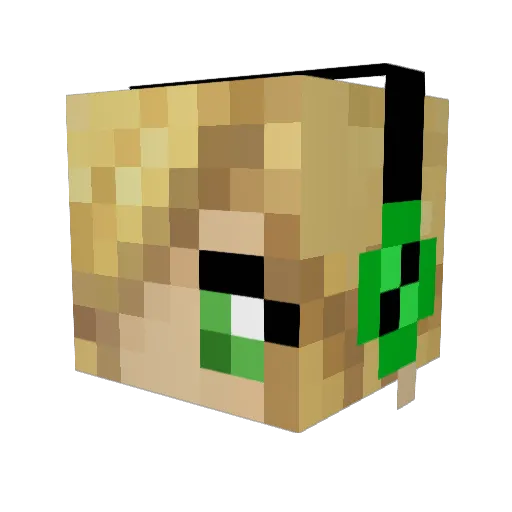 dogogden Minecraft avatar head, 3D render
