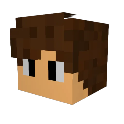 dogoju Minecraft avatar head, 3D render