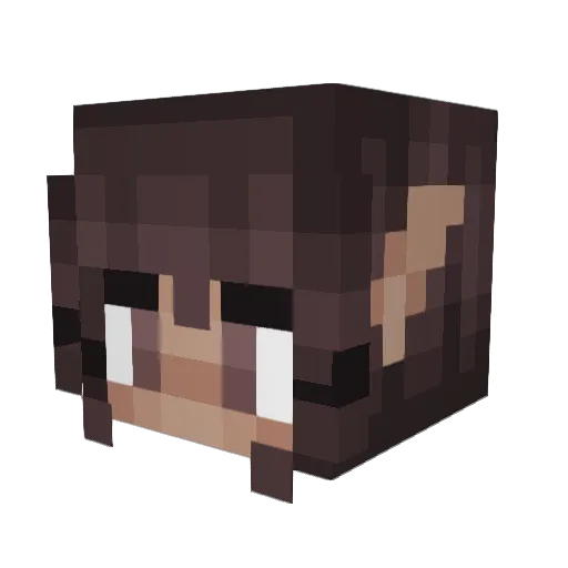 dogostino Minecraft avatar head, 3D render
