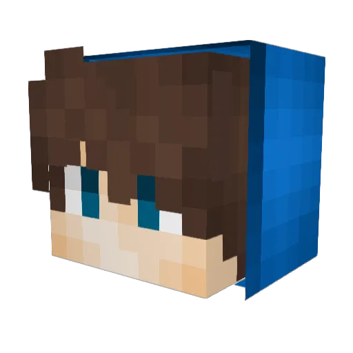 dogotron575 Minecraft avatar head, 3D render