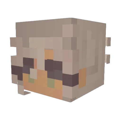 dogp234 Minecraft avatar head, 3D render