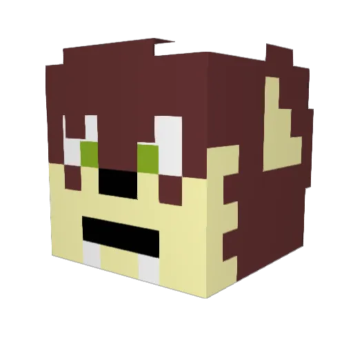 dogryme6 Minecraft avatar head, 3D render
