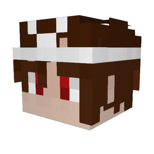 dogsman11 Minecraft avatar head, 3D render