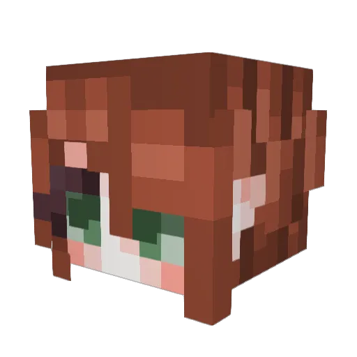 dogsocks24 Minecraft avatar head, 3D render