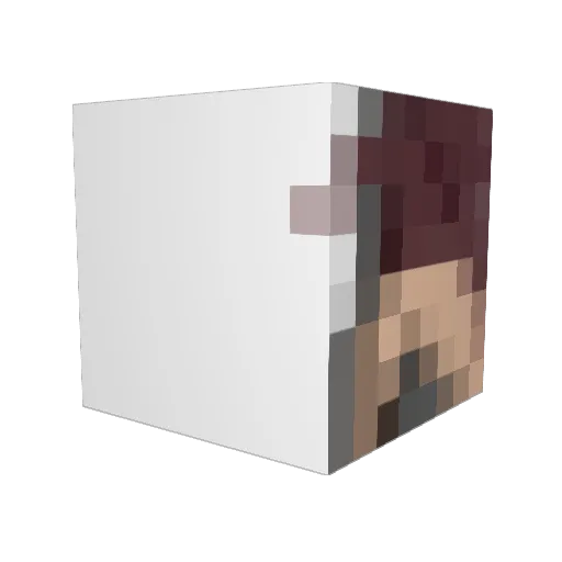dogsterf Minecraft avatar head, 3D render