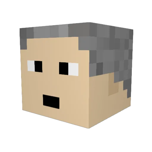 dogtables Minecraft avatar head, 3D render