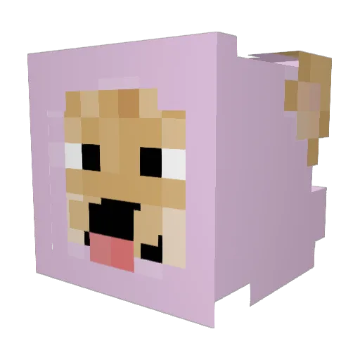 dogun Minecraft avatar head, 3D render