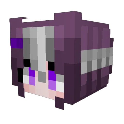 dogwantsleep Minecraft avatar head, 3D render