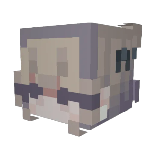 dogwaterr Minecraft avatar head, 3D render