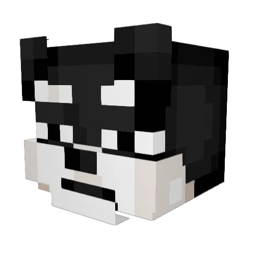 dogwithabong Minecraft avatar head, 3D render