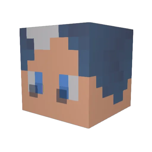 dohey0329 Minecraft avatar head, 3D render