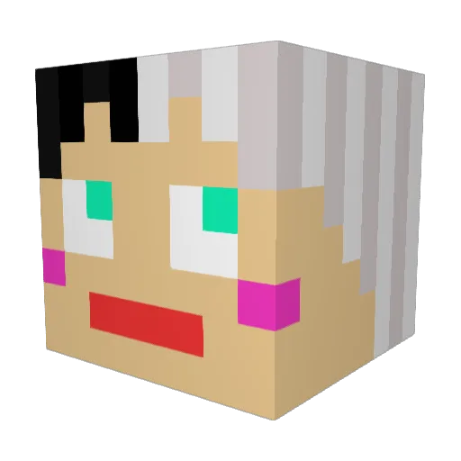 dohhj5874 Minecraft avatar head, 3D render