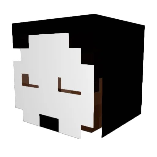 dohyun2021 Minecraft avatar head, 3D render
