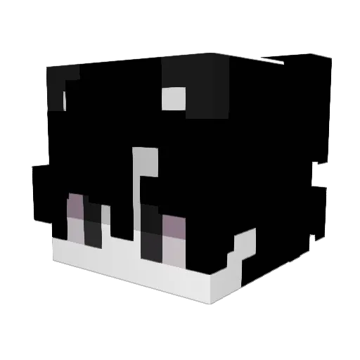 doi Minecraft avatar head, 3D render