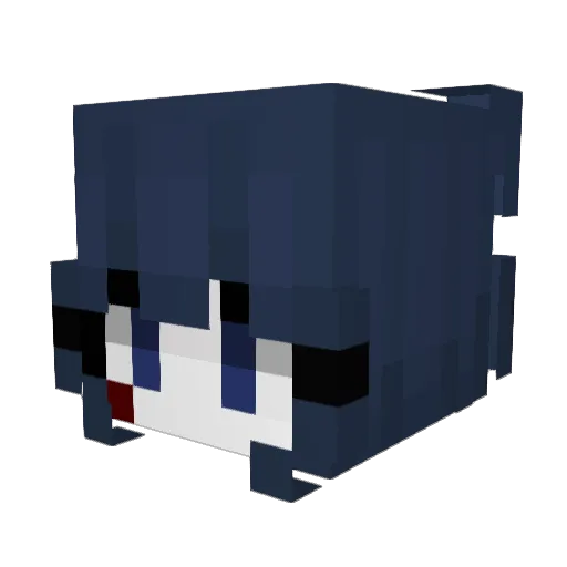 doida Minecraft avatar head, 3D render