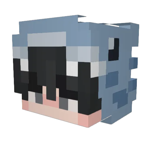 doider Minecraft avatar head, 3D render