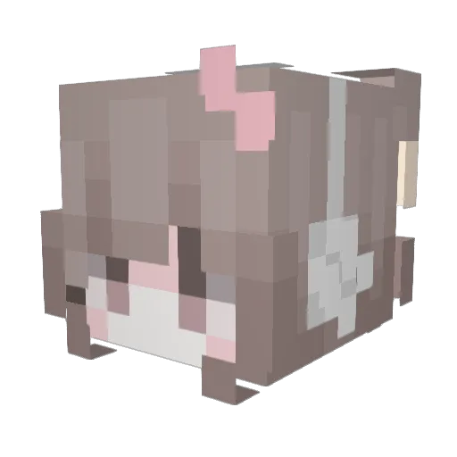 doilly Minecraft avatar head, 3D render