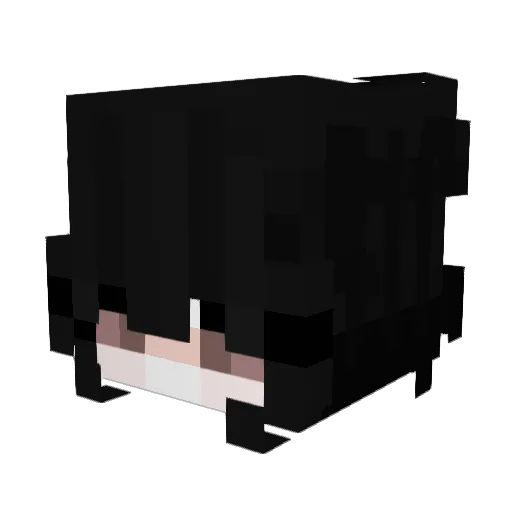 dokinoita Minecraft avatar head, 3D render