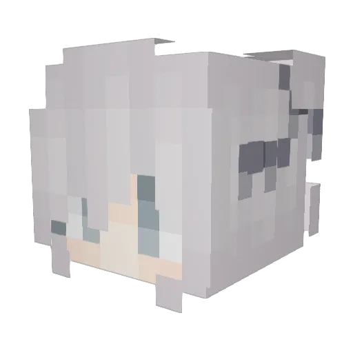 dokizwk Minecraft avatar head, 3D render