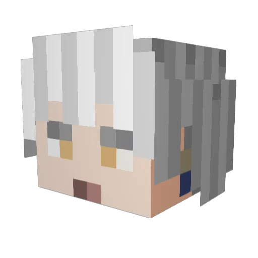 dokkoi_kun Minecraft avatar head, 3D render