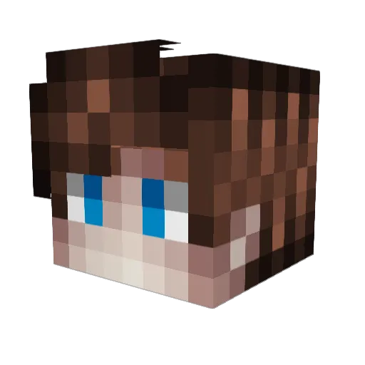 doktornolik Minecraft avatar head, 3D render