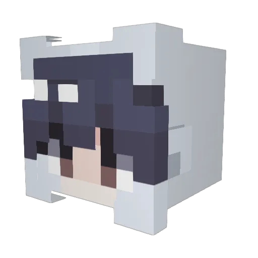 dokudroid Minecraft avatar head, 3D render
