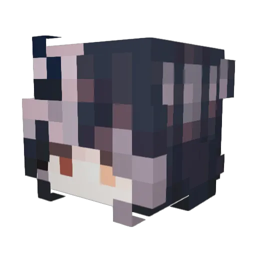 dokuren Minecraft avatar head, 3D render