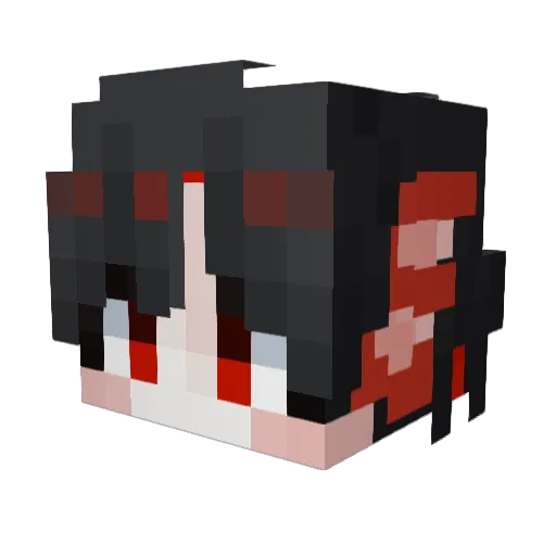 dol_ta21 Minecraft avatar head, 3D render