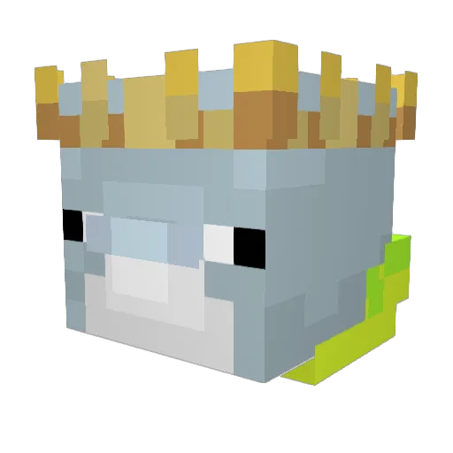 dolfinswimmer Minecraft avatar head, 3D render