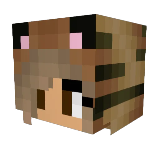 dolib39 Minecraft avatar head, 3D render