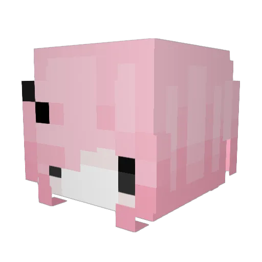 dolinho12345 Minecraft avatar head, 3D render