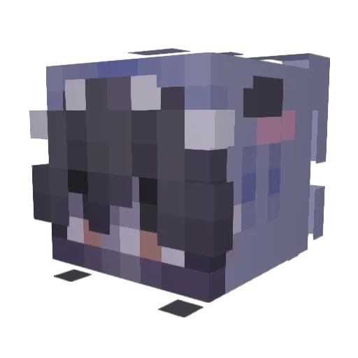 dolkeo Minecraft avatar head, 3D render