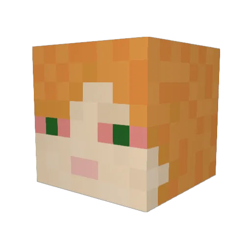 dollasi Minecraft avatar head, 3D render