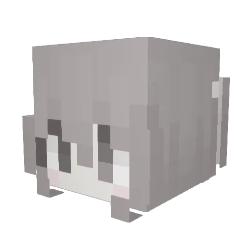 dollic_ Minecraft avatar head, 3D render