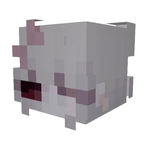 dolliedoom Minecraft avatar head, 3D render